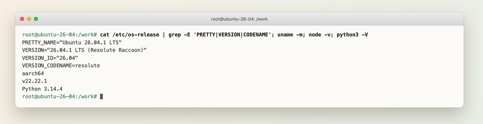 Terminal showing os-release, architecture, Node and Python versions inside ubuntu:26.04