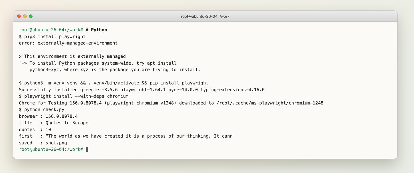 Terminal showing the Python venv install and run